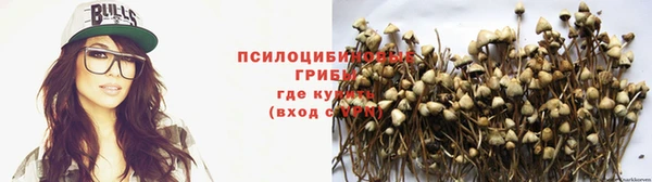 герыч Алексин