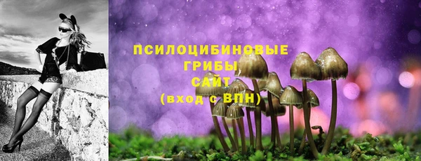 героин Алзамай