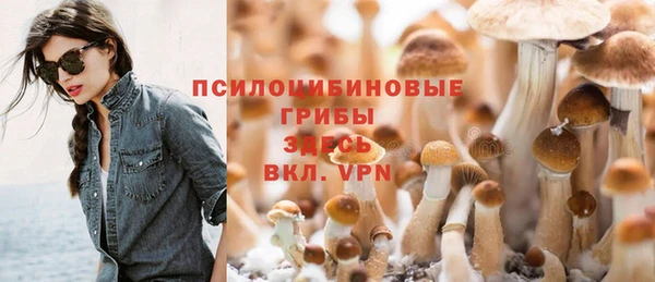 героин Алзамай