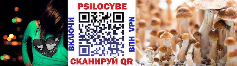 Галлюциногенные грибы Psilocybine cubensis Калач-на-Дону